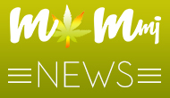 Medical marijuana committee begins ordinance discussion